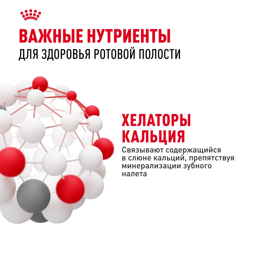 Сухой корм Royal Canin Dental Care для кошек, 1.5 кг фото 5
