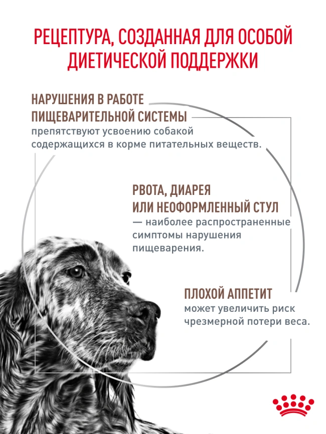 Сухой корм Royal Canin Gastrointestinal для собак, 2 кг фото 15