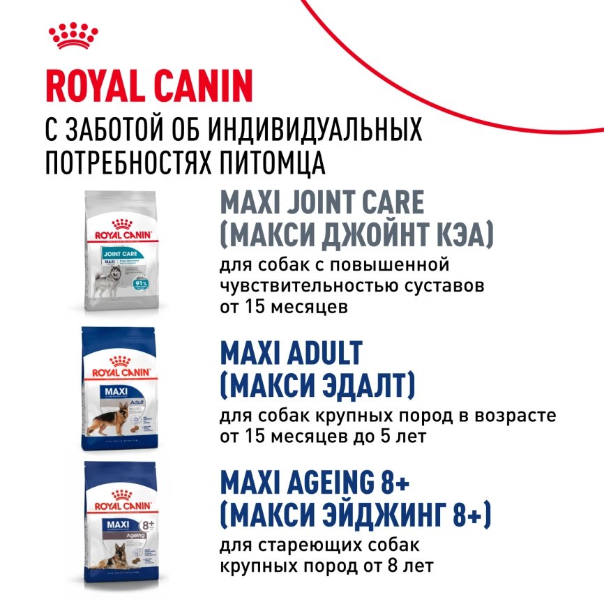 Сухой корм Royal Canin Maxi Adult 5+ для собак, 4 кг фото 8