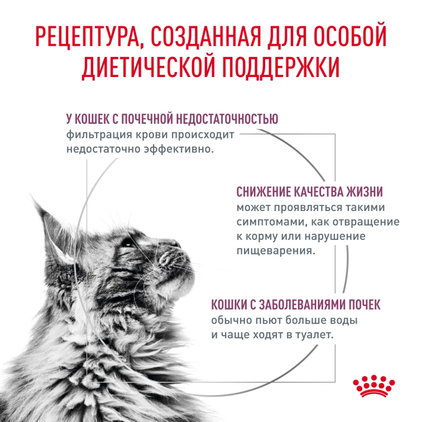 Влажный корм Royal Canin Renal with Chicken в соусе для кошек при заболеваниях почек, с курицей, пауч, 85 г фото 2