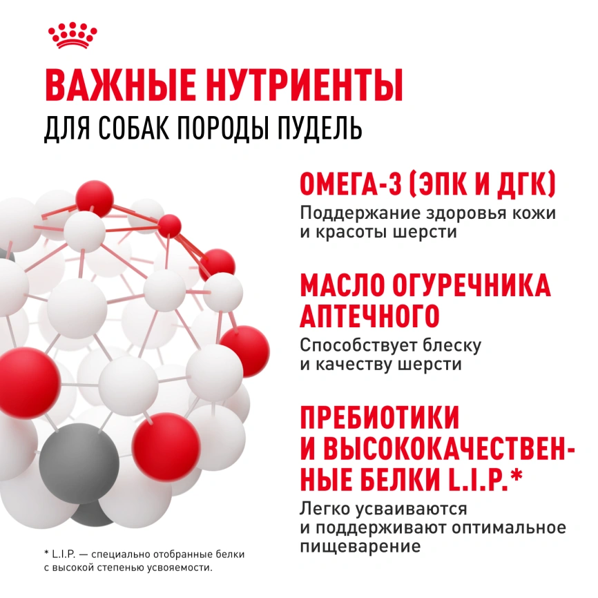 Сухой корм Royal Canin Poodle Adult для взрослых собак, 1,5 кг фото 4
