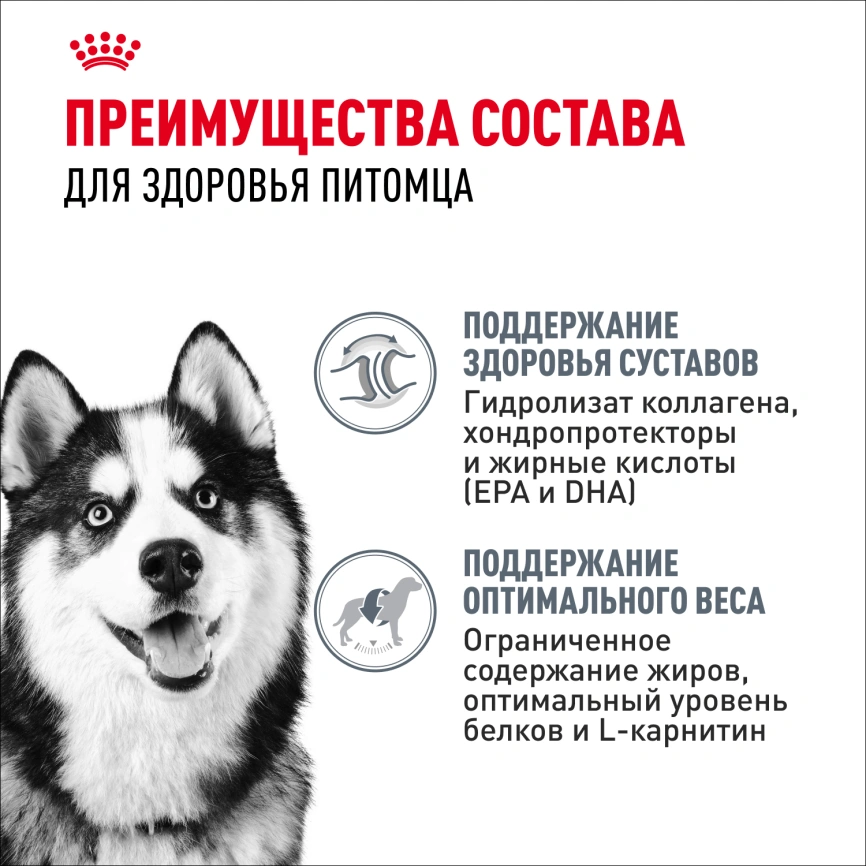 Сухой корм Royal Canin Maxi Joint Care для собак, 10 кг фото 3