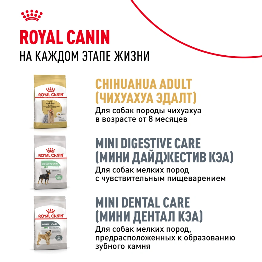 Сухой корм Royal Canin Chihuahua Puppy для щенков породы чихуахуа, 500 г фото 10