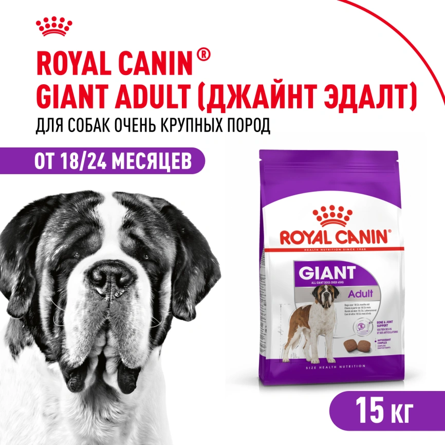 Сухой корм Royal Canin Giant Adult для собак, 15 кг фото 1