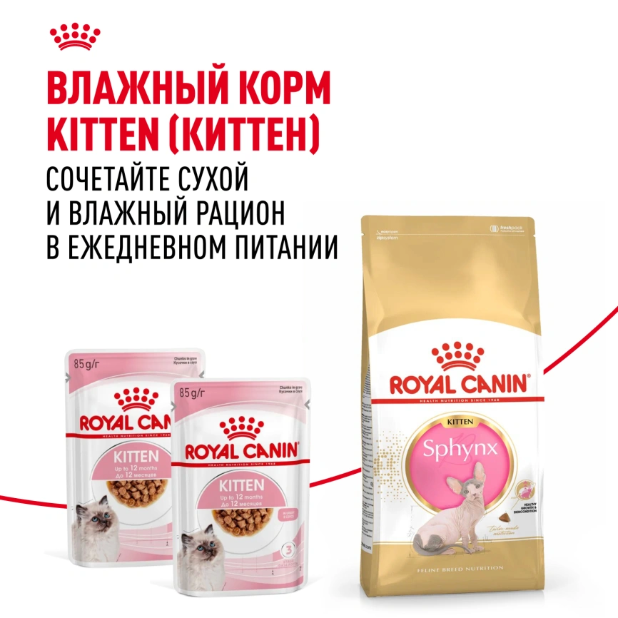 Сухой корм Royal Canin Kitten Sphynx для котят, 400 г фото 9
