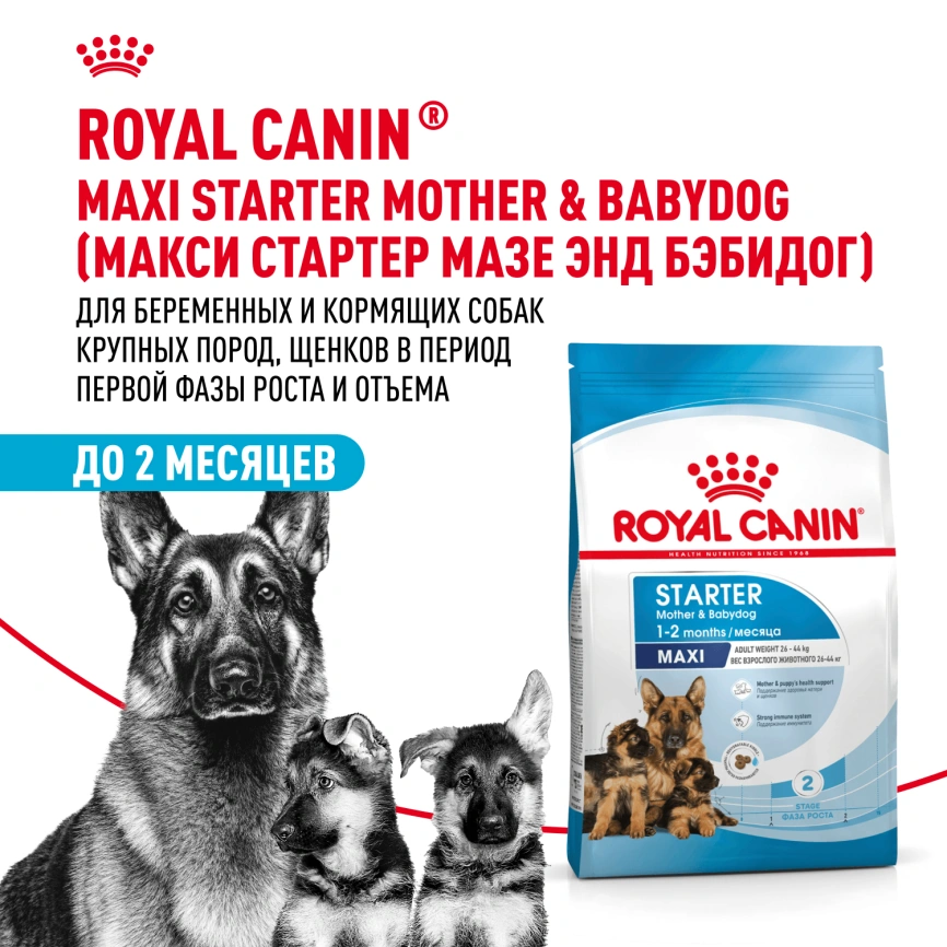 Сухой корм Royal Canin Maxi Starter Mother & Babydog для собак, 4 кг фото 1