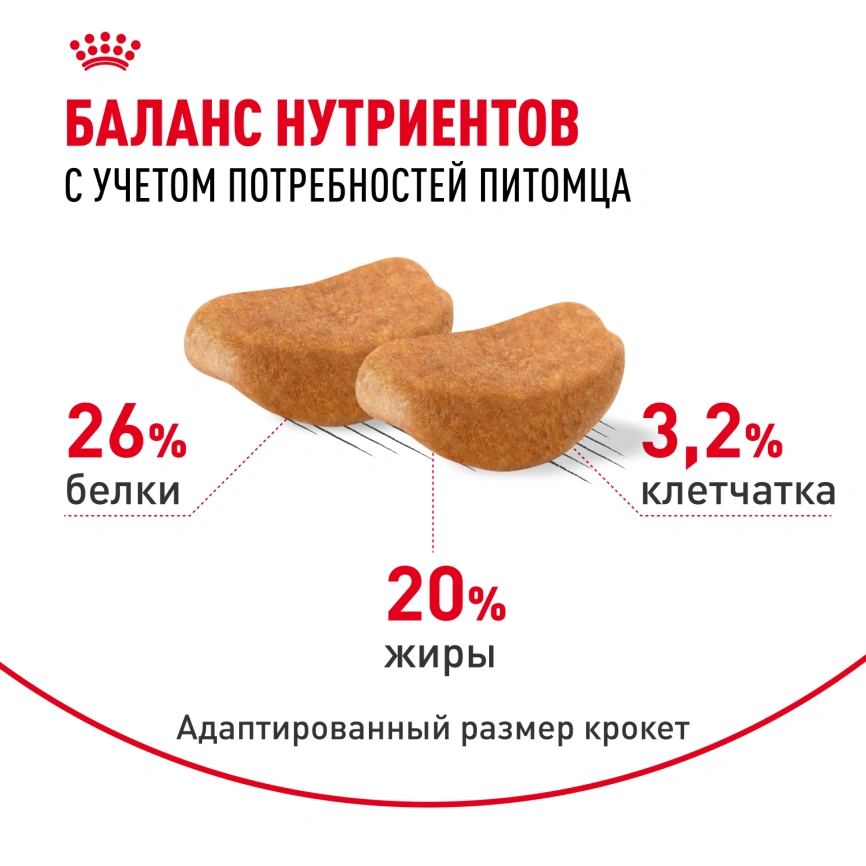 Сухой корм Royal Canin Rottweiler Adult для взрослых собак, 12 кг фото 4