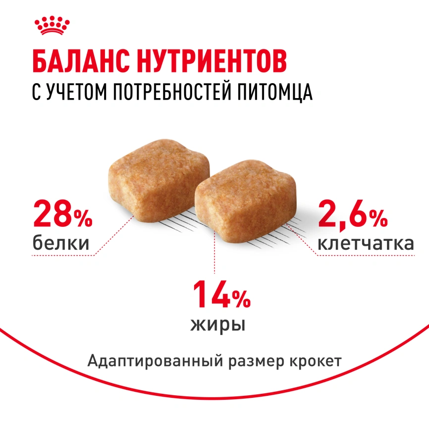 Сухой корм Royal Canin Dachshund Adult для собак породы такса, 1,5 кг фото 4