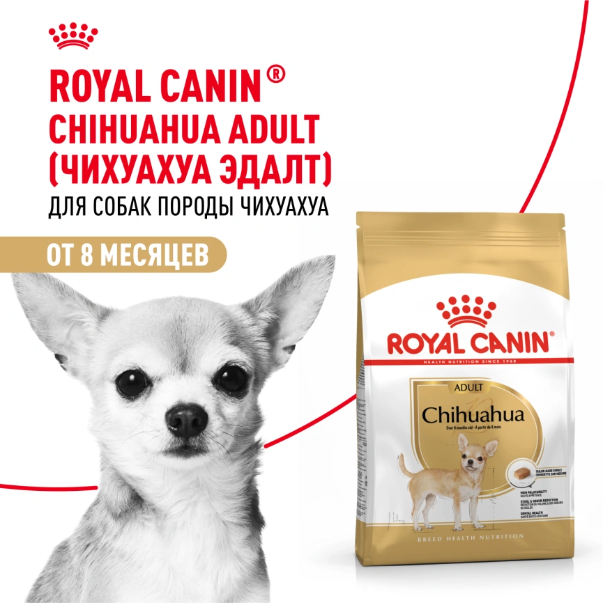 Сухой корм Royal Canin Chihuahua Adult для собак породы чихуахуа, 3 кг фото 11