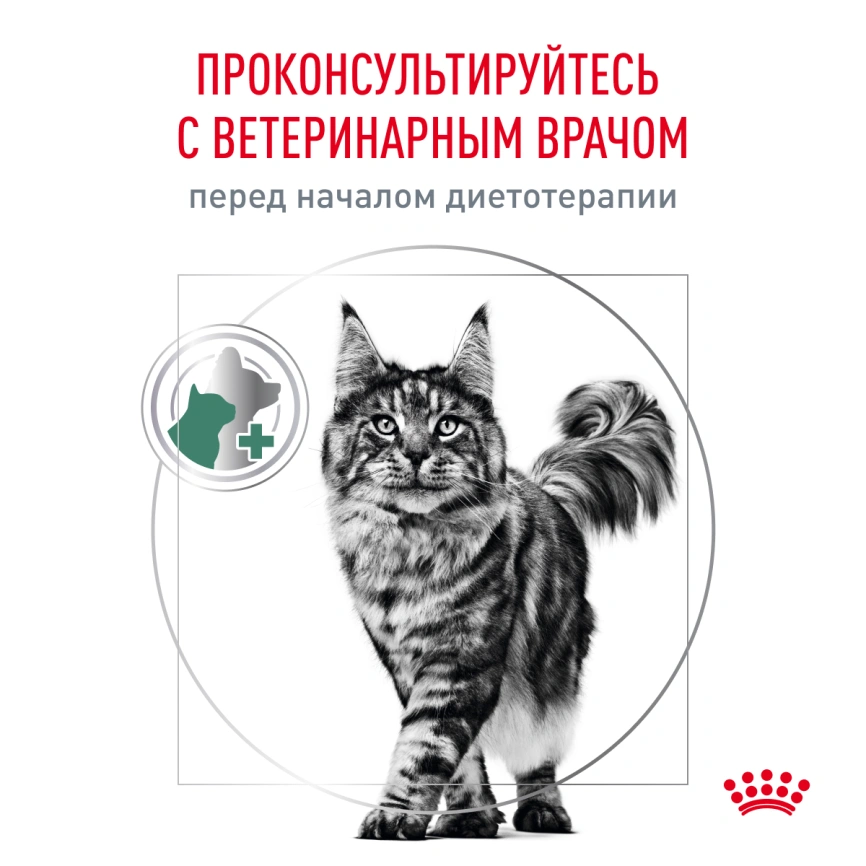 Сухой корм Royal Canin Diabetic для кошек, 350 г фото 8