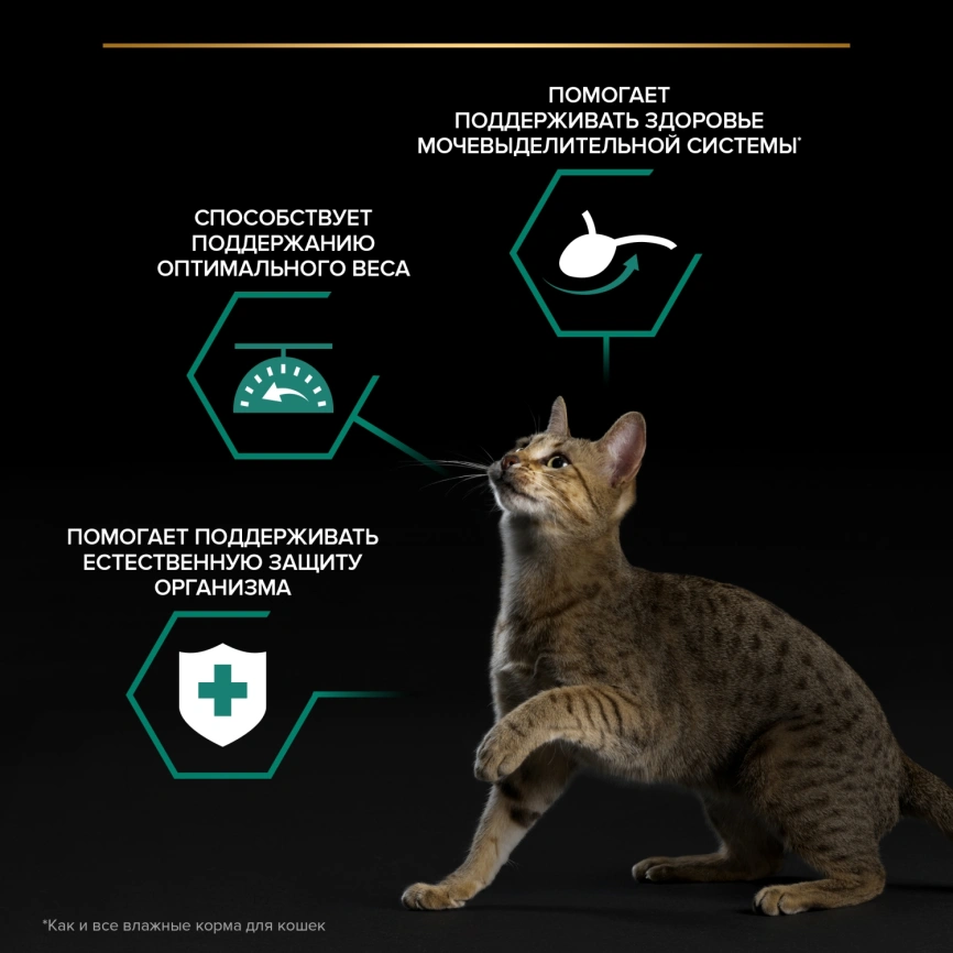 Влажный корм Purina Pro Plan Sterilised Maintenance для стерилизованных кошек, с курицей в желе, 85 г фото 2