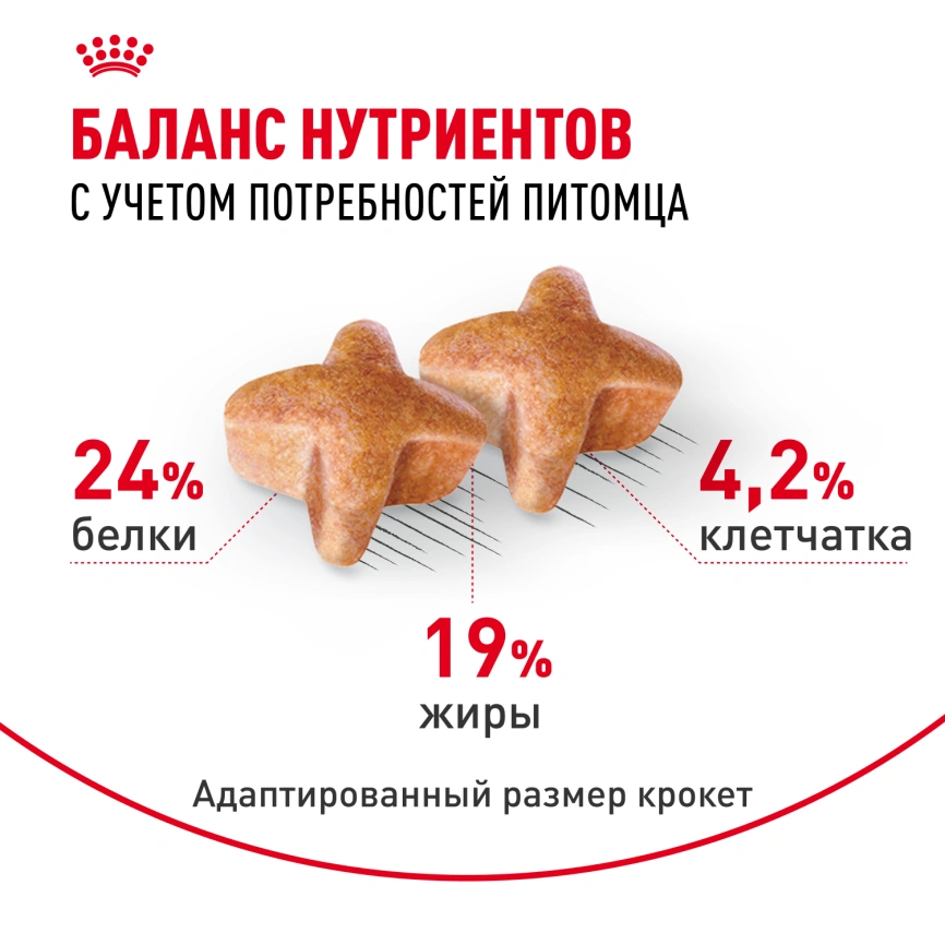 Сухой корм Royal Canin German Shepherd Adult для собак, 3 кг фото 4