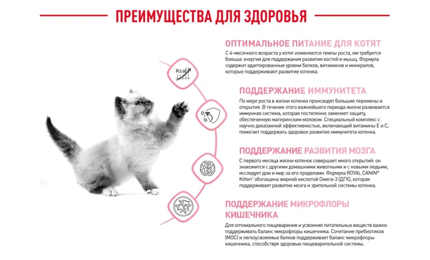 Сухой корм Royal Canin Kitten для котят, 10 кг фото 4