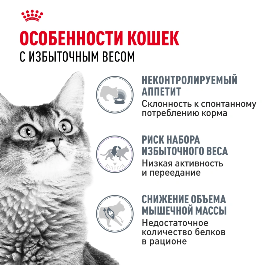 Сухой корм Royal Canin Light Weight Care для кошек, 8 кг фото 2