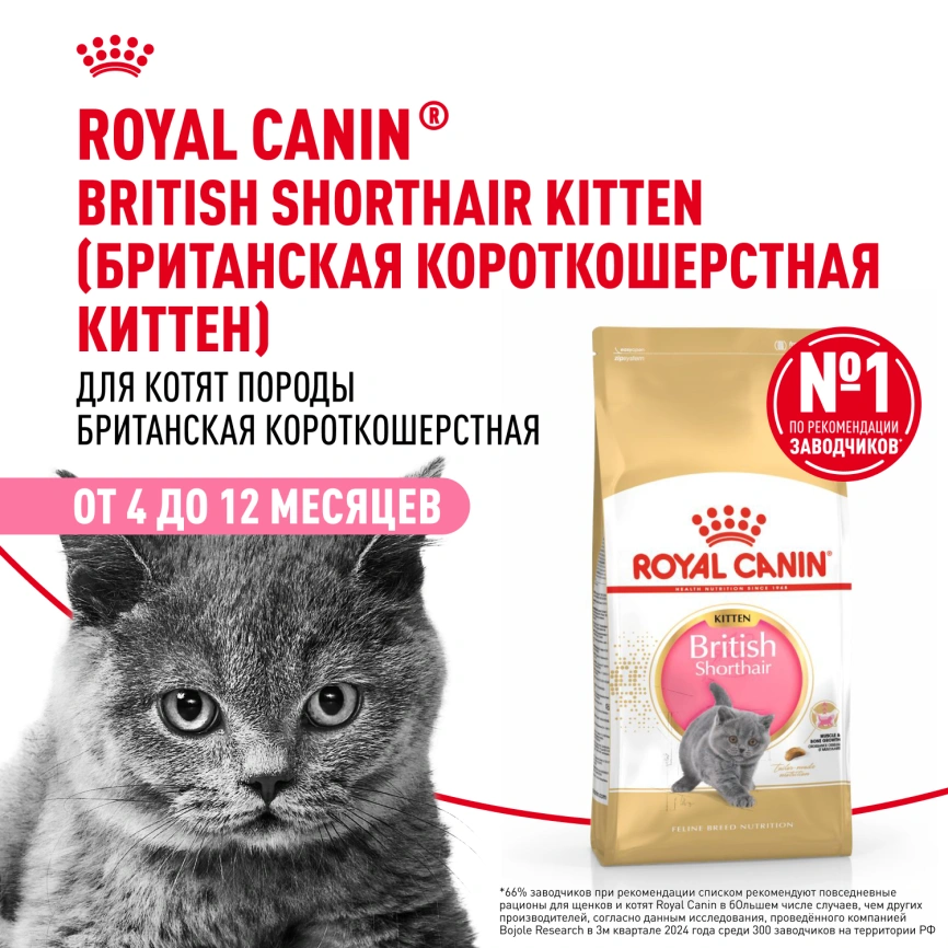 Сухой корм Royal Canin Kitten British Shorthair для котят, 10 кг фото 14