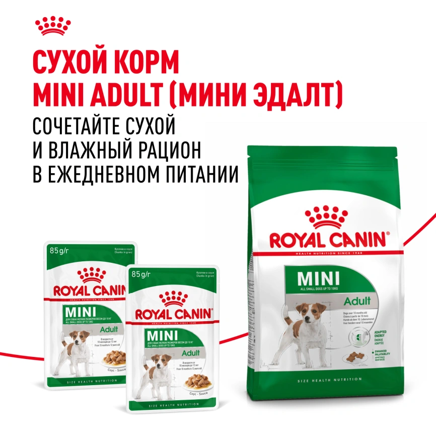 Влажный корм Royal Canin Mini Adult в соусе для взрослых собак мелких пород старше 10 месяцев, пауч, 85 г фото 20