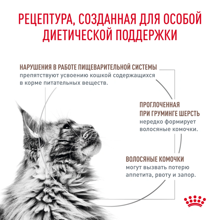 Сухой корм Royal Canin Gastrointestinal Hairball для кошек, 350 г фото 7