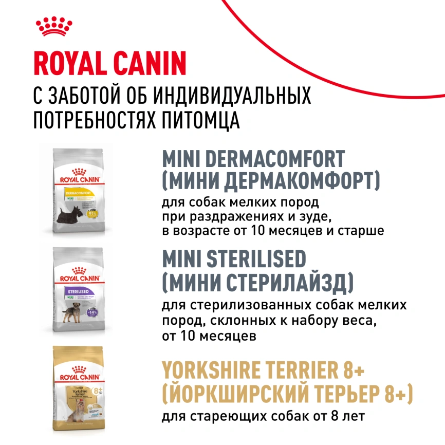 Сухой корм Royal Canin Yorkshire Terrier Adult для взрослых собак, 500 г фото 9