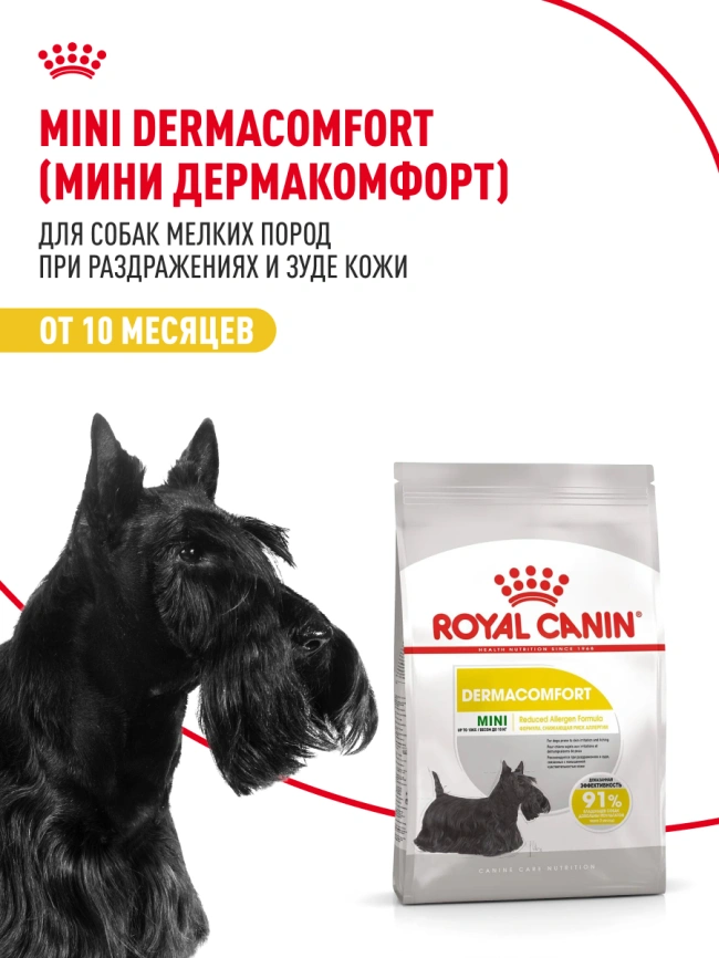Сухой корм Royal Canin Mini Dermacomfort для собак, 1 кг фото 15