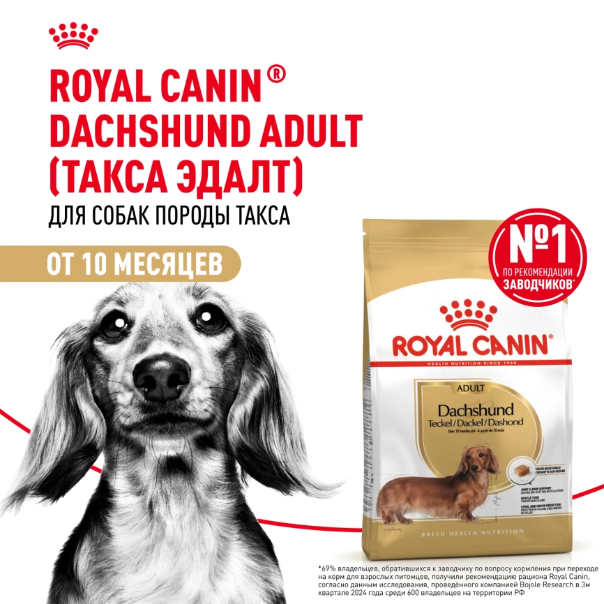 Сухой корм Royal Canin Dachshund Adult для собак породы такса, 7.5 кг фото 13