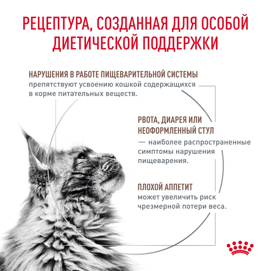 Сухой корм Royal Canin Gastrointestinal для кошек, 350 г фото 2