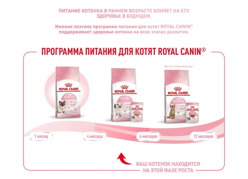 Сухой корм Royal Canin Kitten для котят, 10 кг фото 10