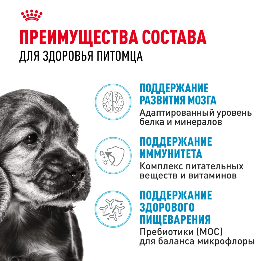 Сухой корм Royal Canin Mini Puppy для щенков, 2 кг фото 3