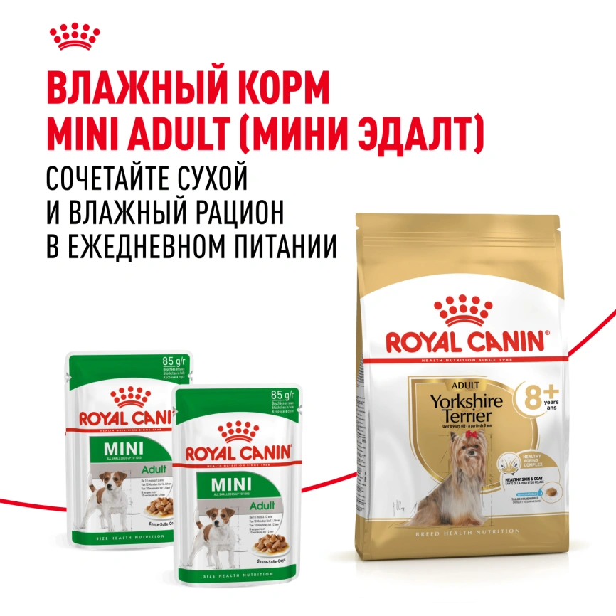 Сухой корм Royal Canin Yorkshire Terrier Adult для взрослых собак, 1.5 кг фото 9