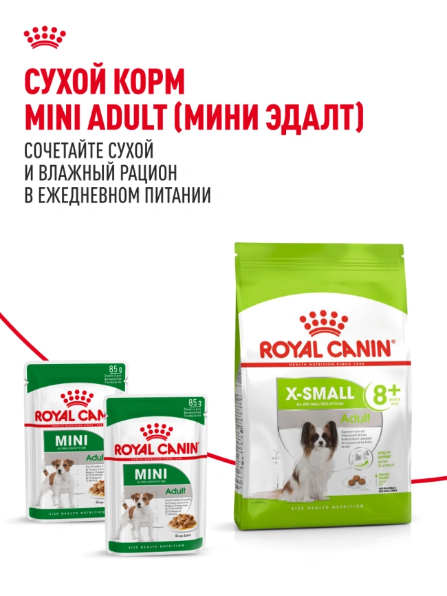 Сухой корм Royal Canin X-Small Adult для собак, 3 кг фото 20