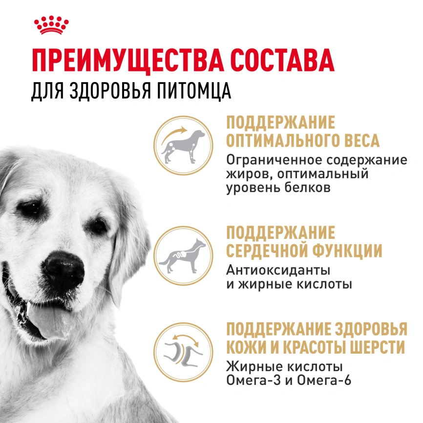 Сухой корм Royal Canin Golden Retriever Adult для собак, 3 кг фото 3