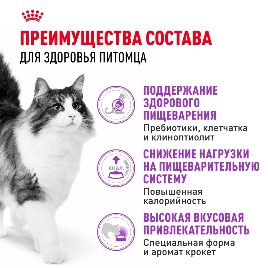 Сухой корм Royal Canin Sensible для кошек, 2 кг фото 4