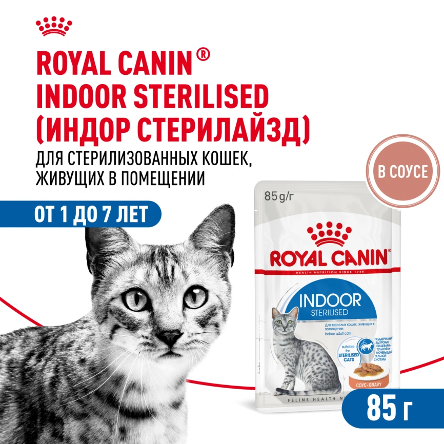 Влажный корм Royal Canin Indoor в соусе для кошек, живущих в помещении, пауч, 85 г фото 1