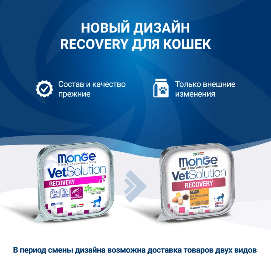 Диетический корм Monge VetSolution Cat Recovery для кошек, для восстановления питания в период выздоровления, 100 г фото 2