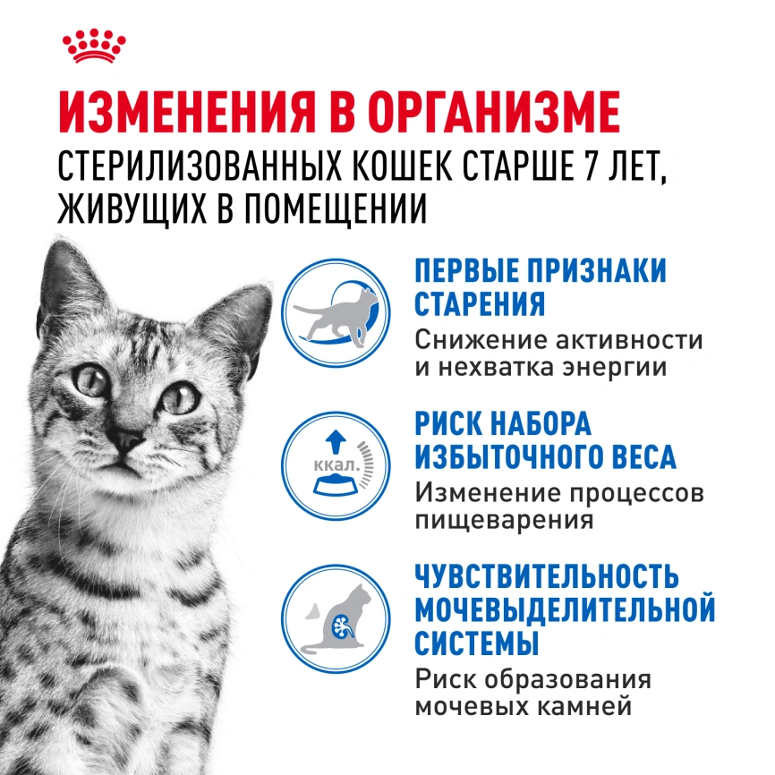 Влажный корм Royal Canin Indoor 7+ в соусе для кошек старше 7 лет, живущих в помещении, пауч, 85 г фото 10