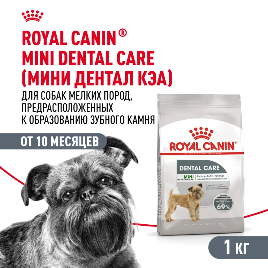 Сухой корм Royal Canin Mini Dental Care для собак, 1 кг фото 1