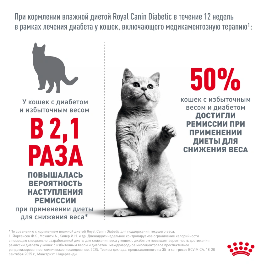 Влажный диетический корм Royal Canin Diabetic для кошек при сахарном диабете, пауч, 85 г фото 5