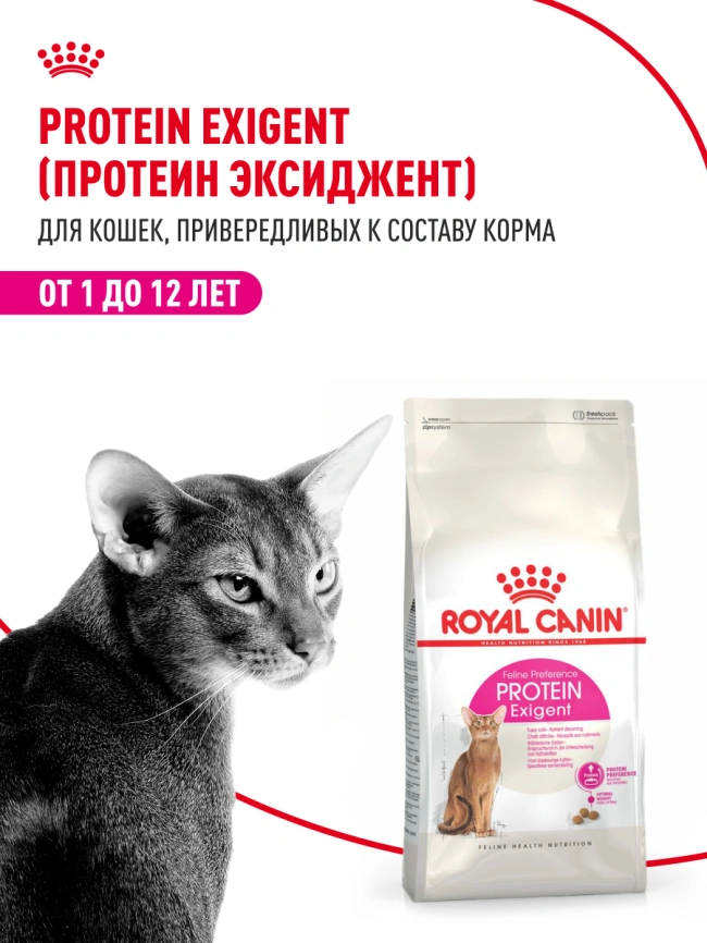 Сухой корм Royal Canin Protein Exigent для кошек, фото 13