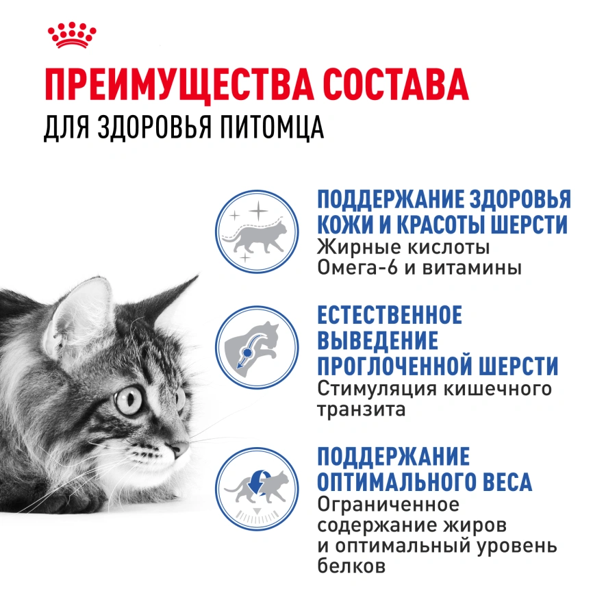 Сухой корм Royal Canin Indoor Long Hair для кошек, 400 г фото 3