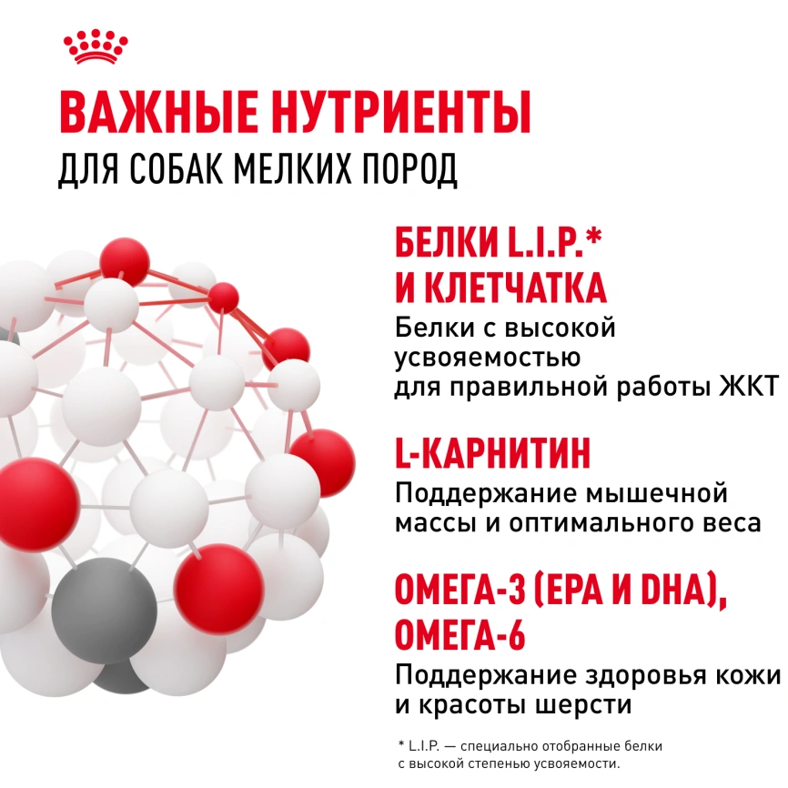 Влажный корм Royal Canin Mini Adult в соусе для взрослых собак мелких пород старше 10 месяцев, пауч, 85 г фото 12