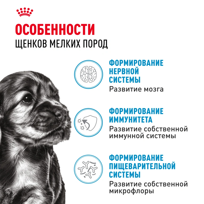 Влажный корм Royal Canin Mini Puppy в соусе для щенков мелких пород до 10 месяцев, пауч, 85 г фото 15