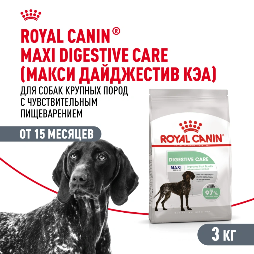 Сухой корм Royal Canin Maxi Digestive Care для собак, 3 кг фото 1