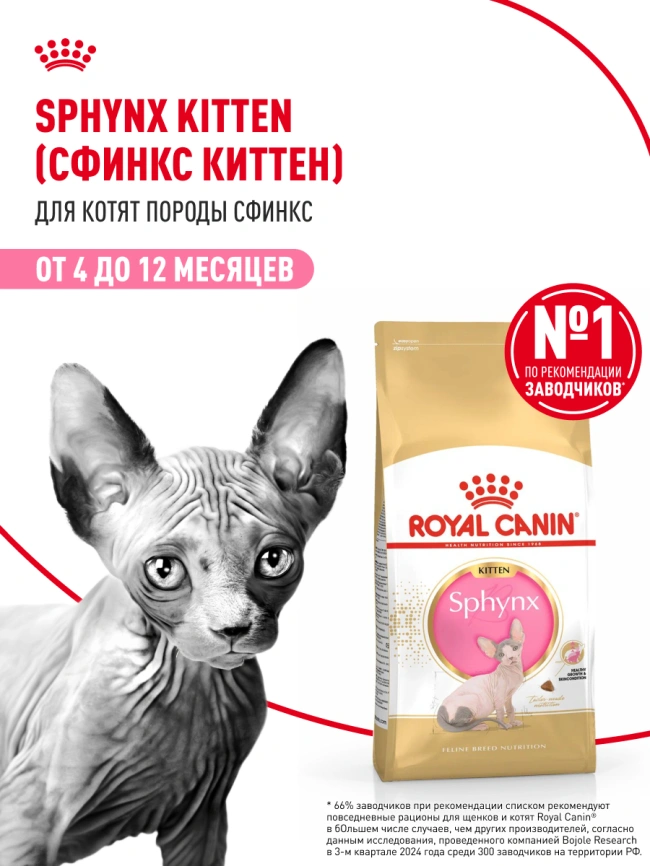 Сухой корм Royal Canin Kitten Sphynx для котят, 2 кг фото 12