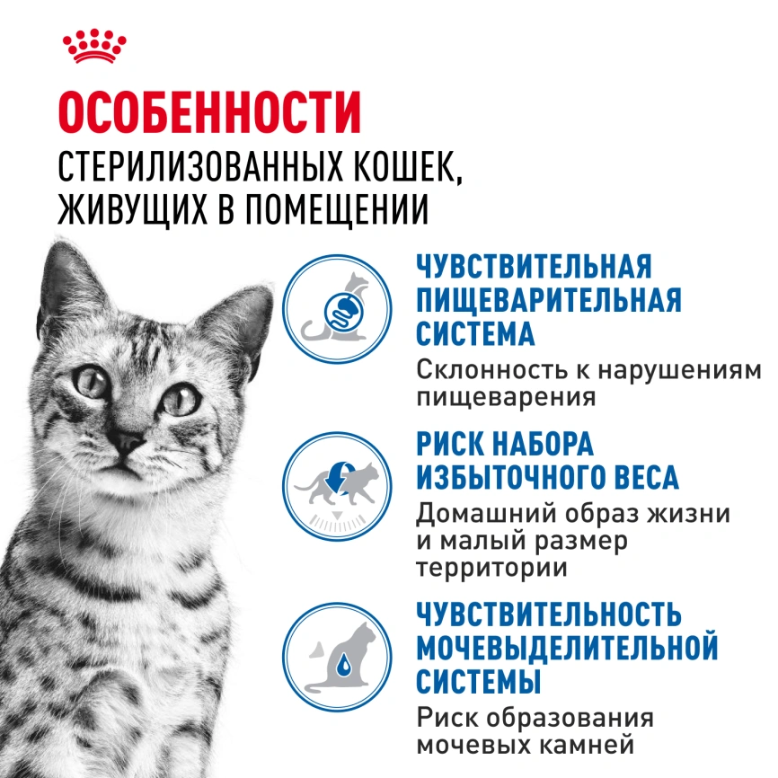 Влажный корм Royal Canin Indoor в желе для кошек, живущих в помещении, пауч, 85 г фото 2