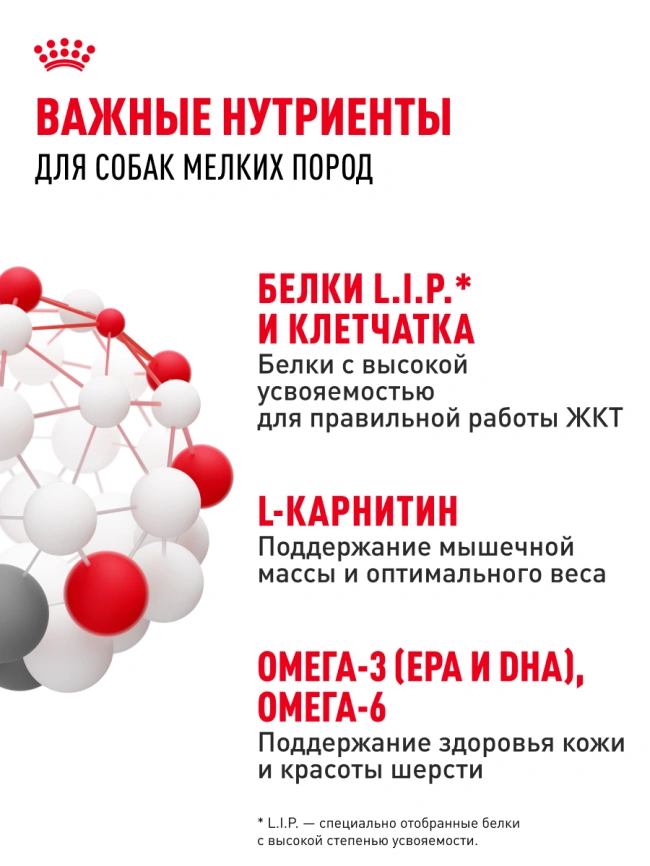 Влажный корм Royal Canin Mini Adult в соусе для взрослых собак мелких пород старше 10 месяцев, пауч, 85 г фото 5