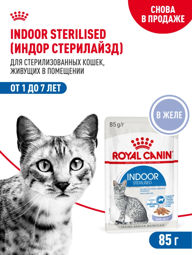 Влажный корм Royal Canin Indoor в желе для кошек, живущих в помещении, пауч, 85 г фото 15