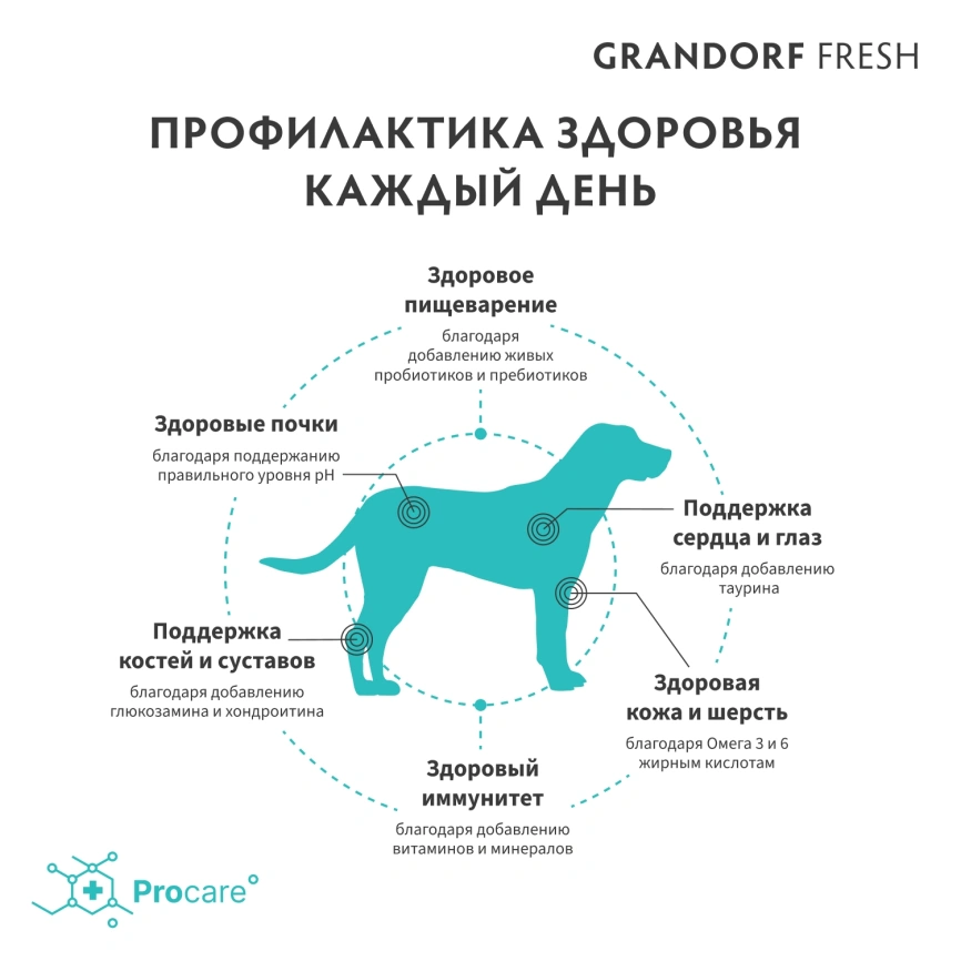 Сухой корм Grandorf Fresh Dog для взрослых собак крупных пород чувствительное пищеварение и гипоаллергенный ягненок с бататом 3 кг фото 4