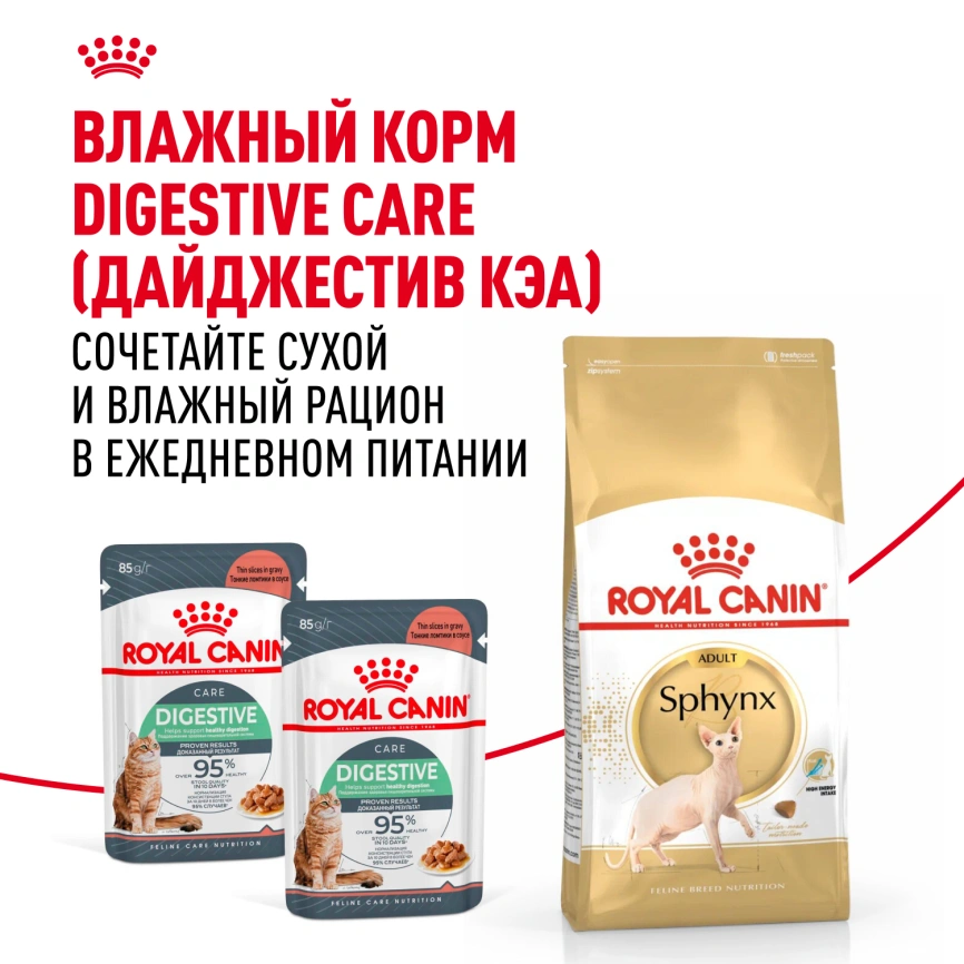 Сухой корм Royal Canin Sphynx для кошек породы сфинкс, 10 кг фото 8