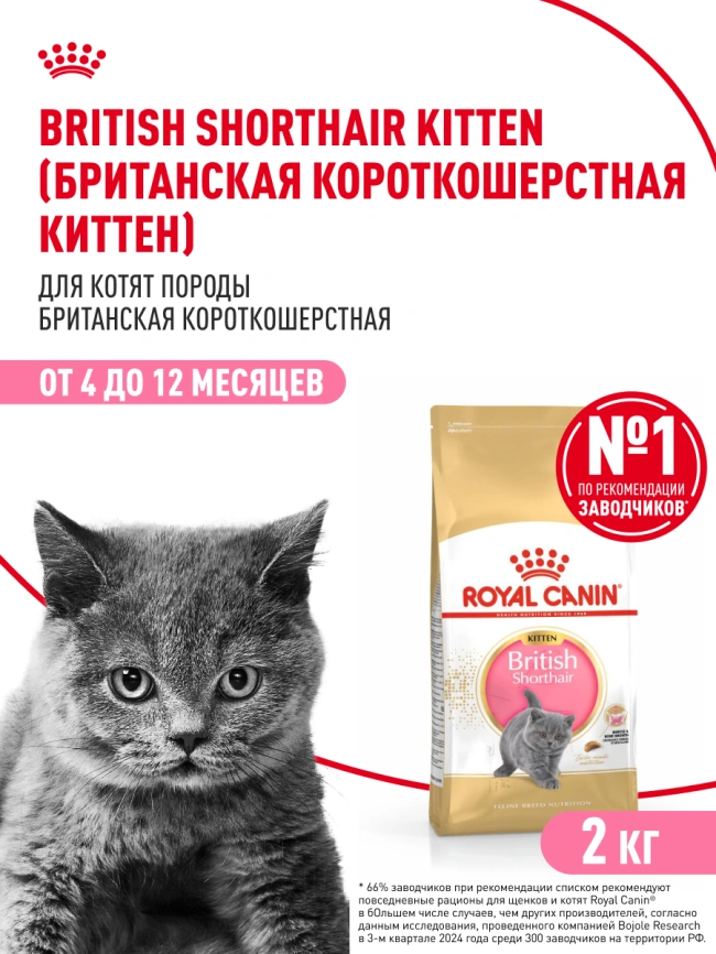 Сухой корм Royal Canin Kitten British Shorthair для котят, 2 кг фото 15