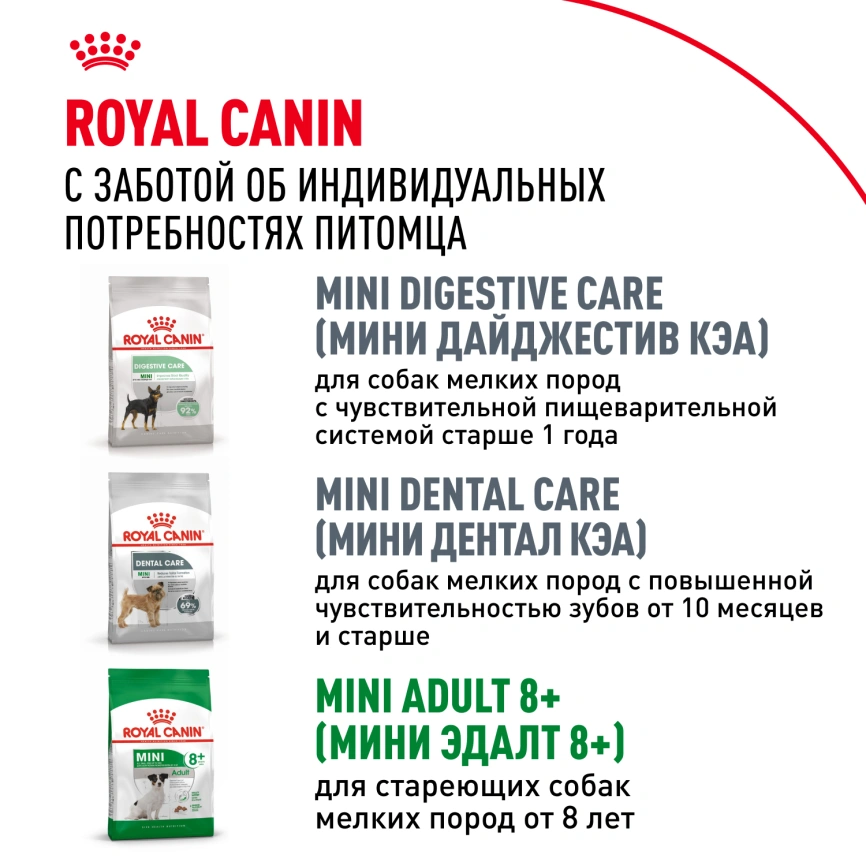 Сухой корм Royal Canin Mini Adult для взрослых собак, 4 кг фото 10