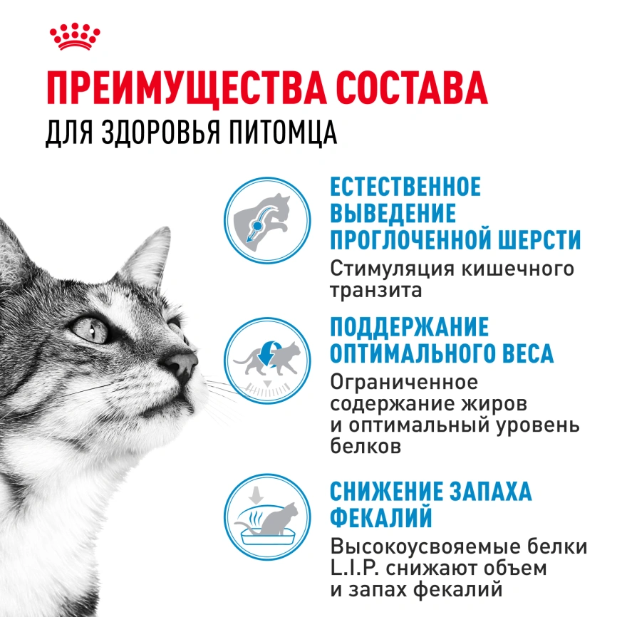 Сухой корм Royal Canin Indoor для кошек, 2 кг фото 2